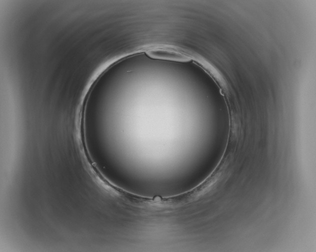 X0000111181102200907011405