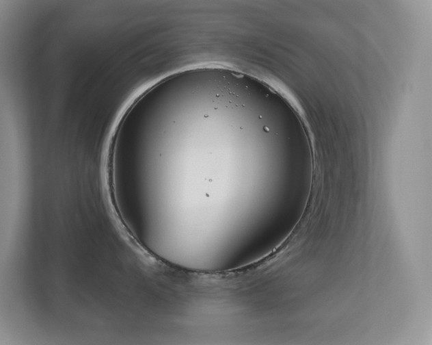 X0000111181104200907011405