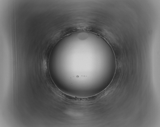 X0000111181106200907011404