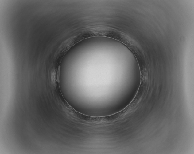 X0000111181108200907011404