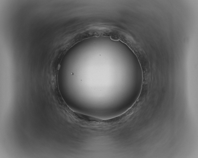 X0000111181109200907011404