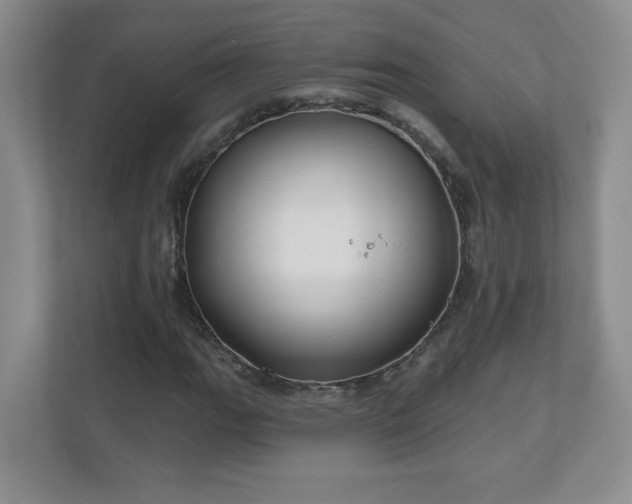 X0000111181111200907011404
