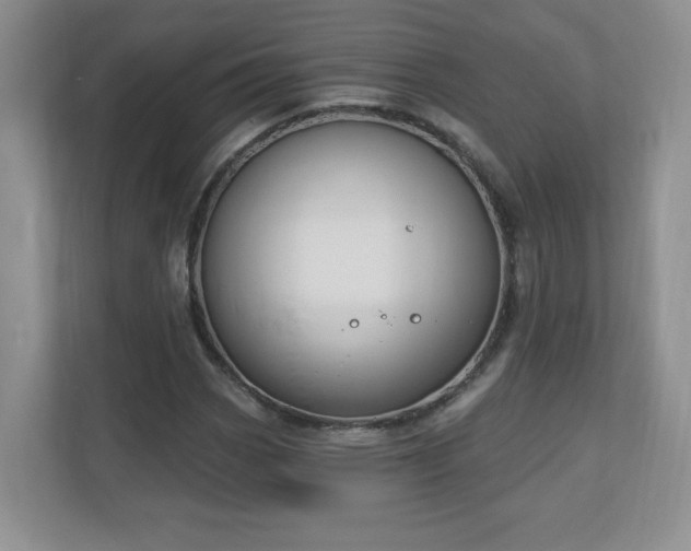 X0000111181113200907011404