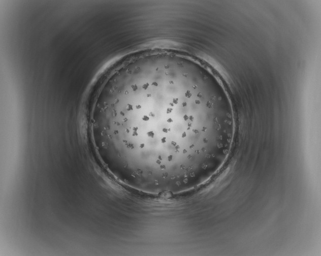 X0000111181115200907011404