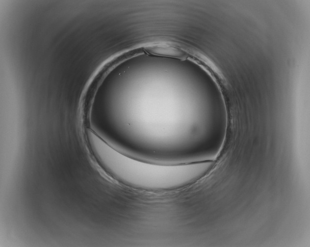 X0000111181116200907011404