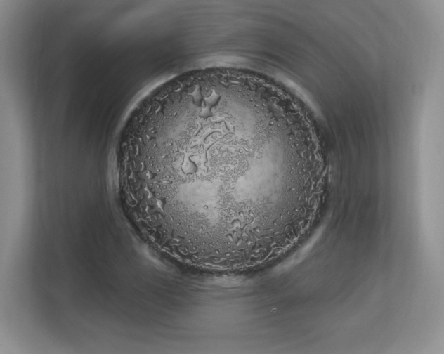 X0000111181117200907011404