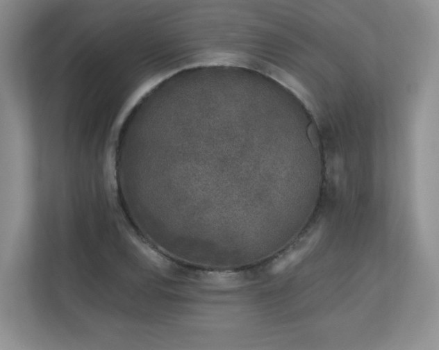 X0000111181120200907011404