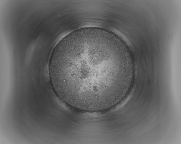 X0000111181121200907011404