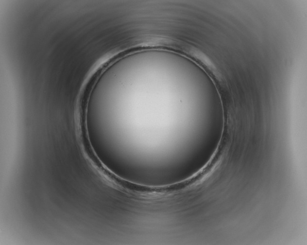 X0000111181122200907011404