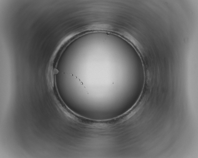 X0000111181123200907011404