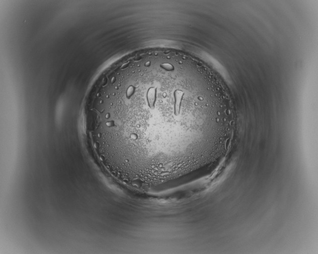 X0000111181125200907011404