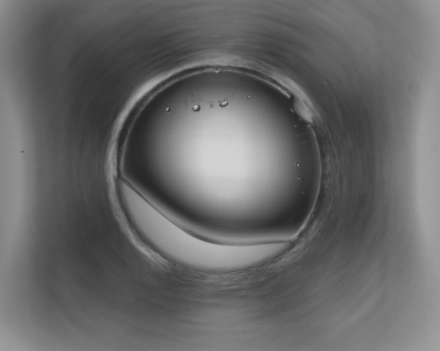 X0000111181128200907011404