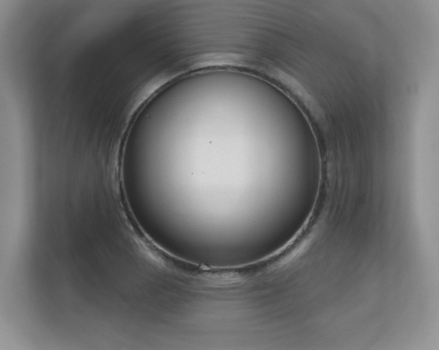 X0000111181129200907011404