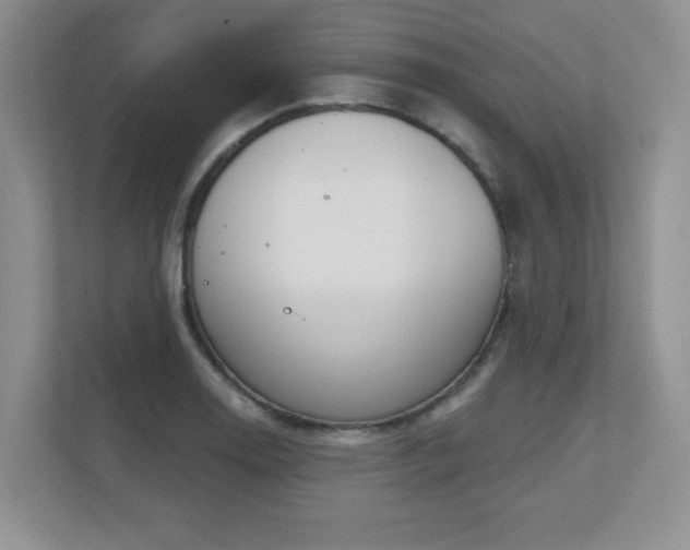 X0000111181130200907011404