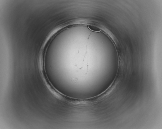 X0000111181131200907011404