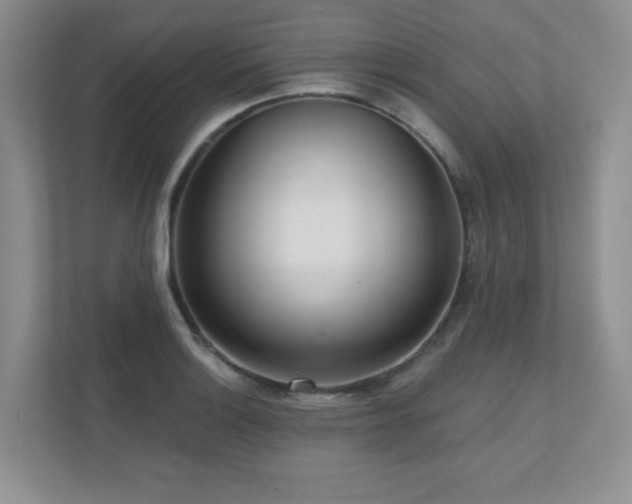 X0000111181132200907011404