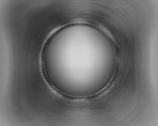 X0000111181133200907011404