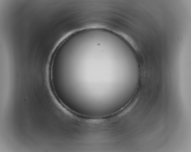 X0000111181134200907011404