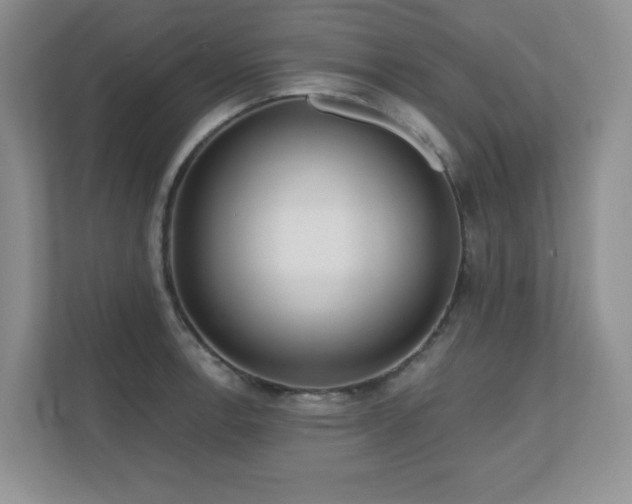 X0000111181138200907011404