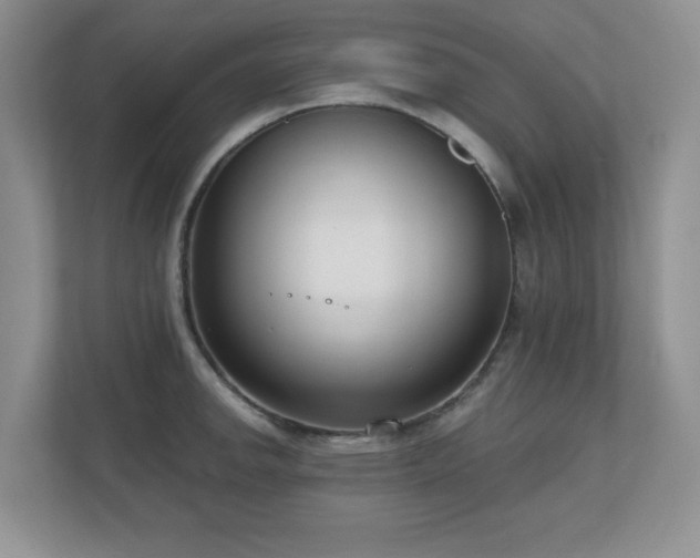 X0000111181142200907011405