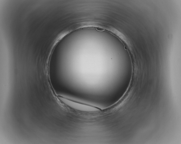 X0000111181145200907011405