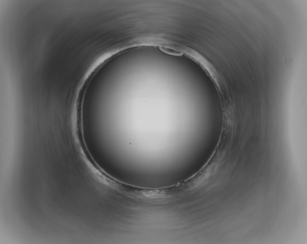 X0000111181147200907011405