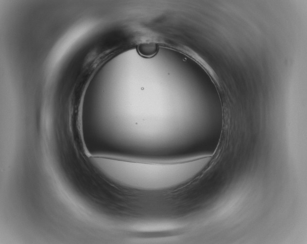 X0000111181151200907011405