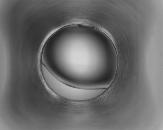 X0000111181152200907011405