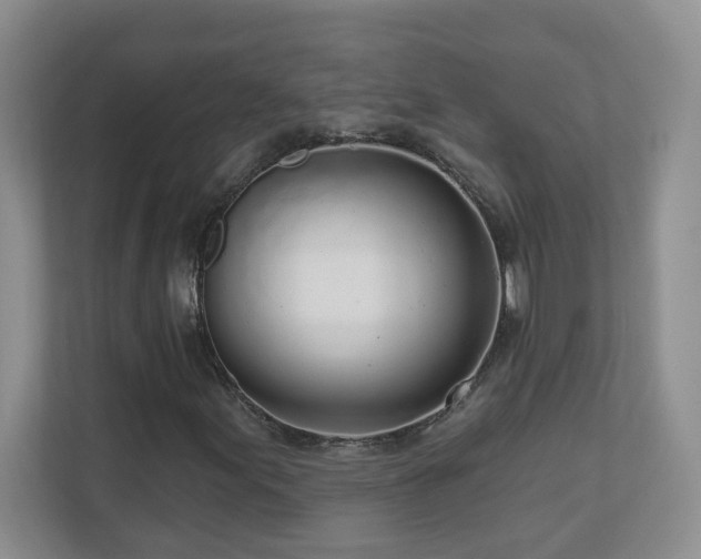 X0000111181155200907011404