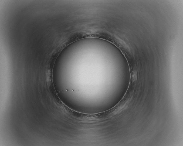 X0000111181156200907011404