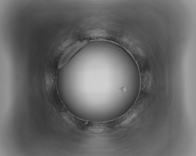 X0000111181157200907011404