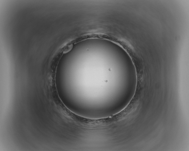 X0000111181159200907011404