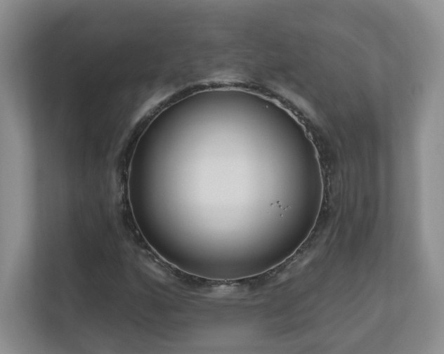 X0000111181160200907011404