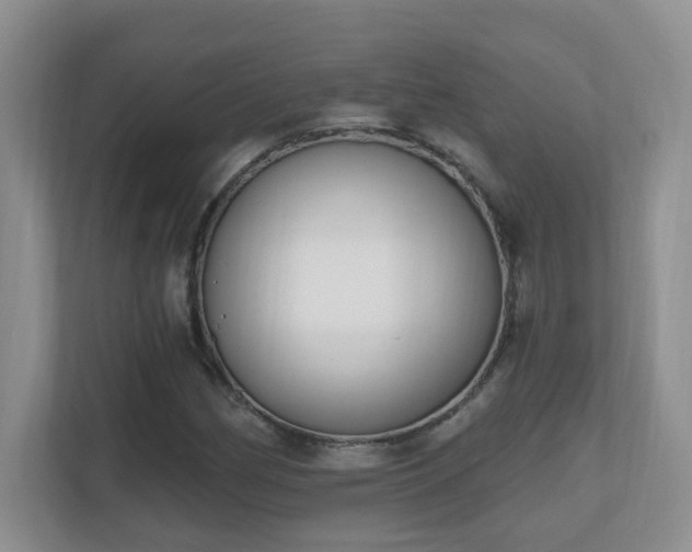 X0000111181162200907011404