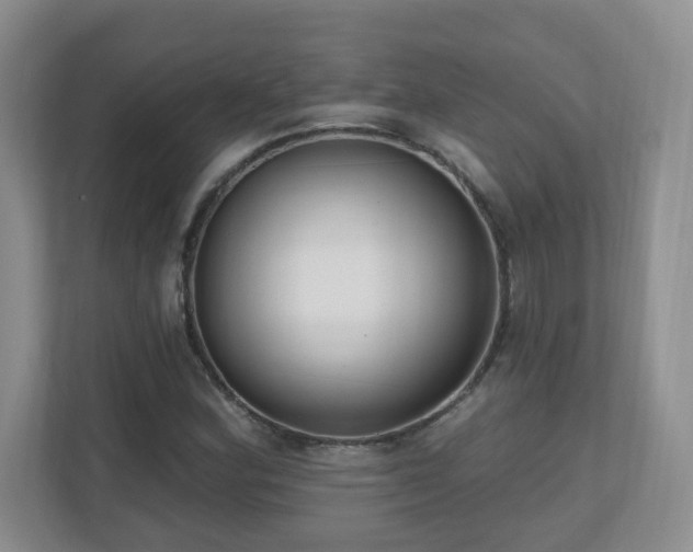 X0000111181164200907011404