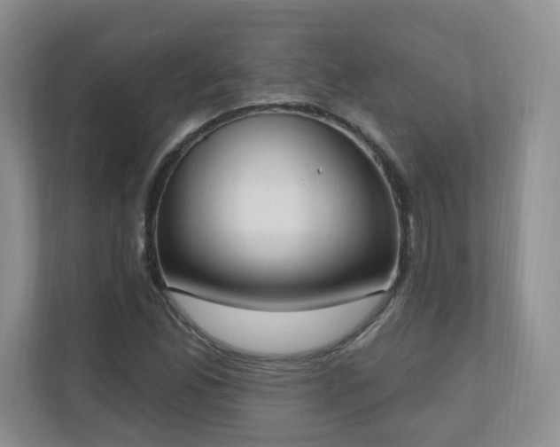 X0000111181165200907011404