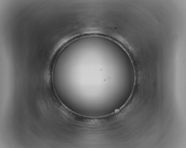 X0000111181167200907011404