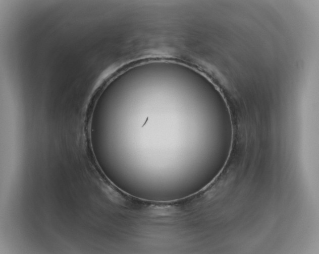 X0000111181168200907011404