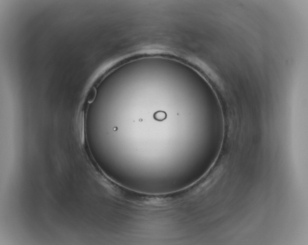 X0000111181175200907011404