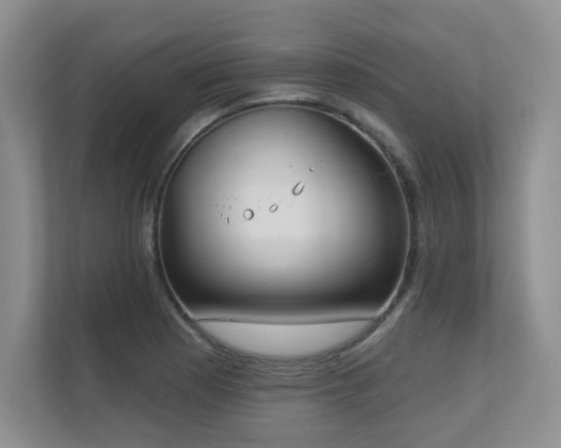 X0000111181177200907011404