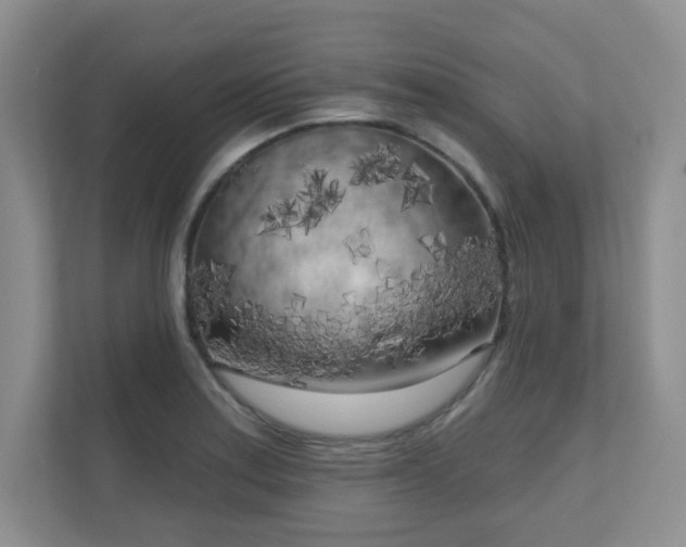 X0000111181179200907011404