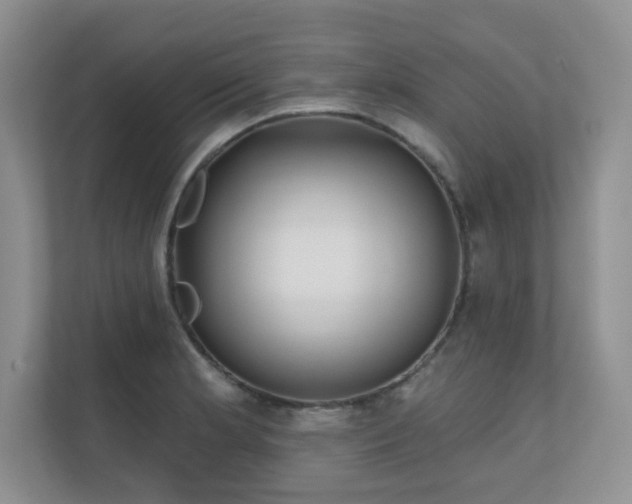 X0000111181181200907011404