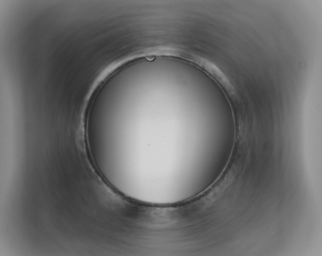 X0000111181184200907011404