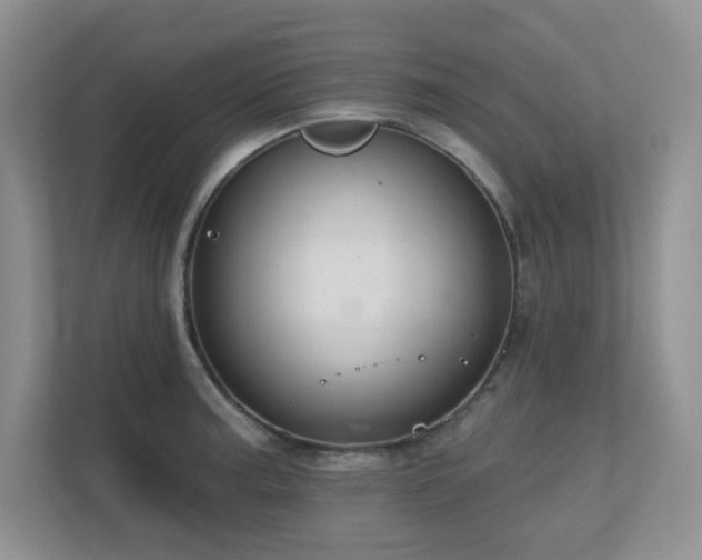 X0000111181187200907011403