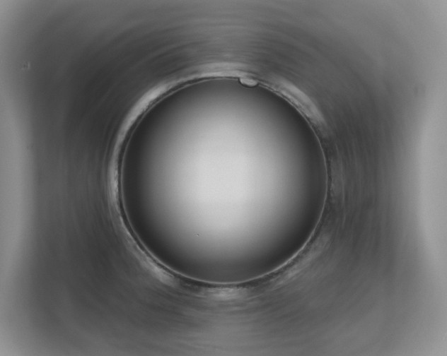 X0000111181188200907011403