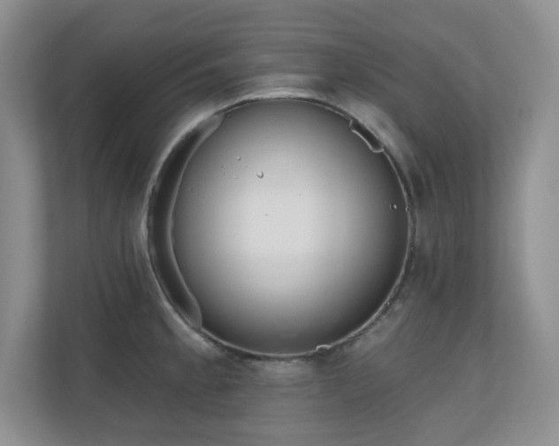 X0000111181189200907011403
