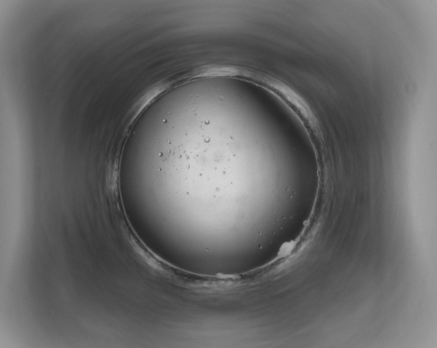 X0000111181193200907011403