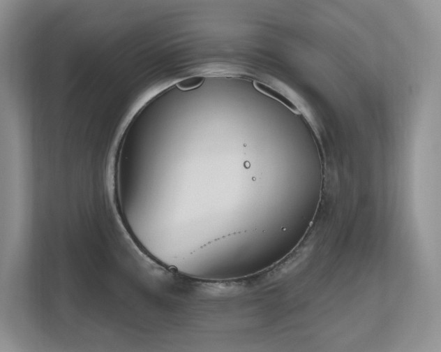X0000111181195200907011403