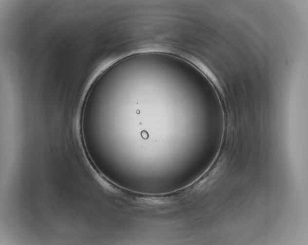 X0000111181197200907011403