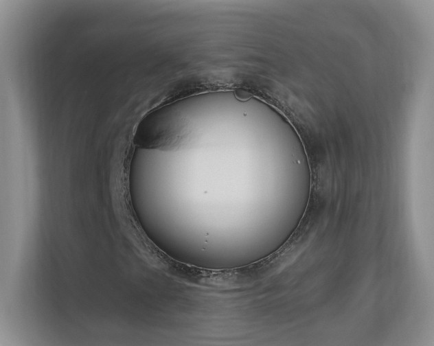 X0000111181201200907011403